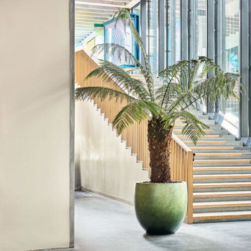 DUOO grote design bloempot groen voor binnen 54cm breed
