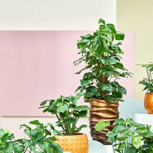DUOO hoge vaas plantenpot goud brons groot design 88cm