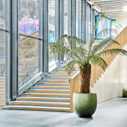 DUOO grote design bloempot groen voor binnen 54cm breed