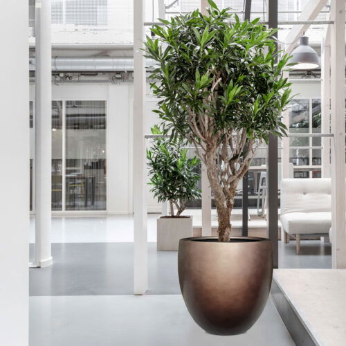 DUOO grote design bloempot taupe brons voor binnen 54cm breed