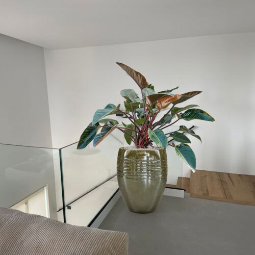 ADESS olijfgroene bloempot groot design voor buiten 67cm