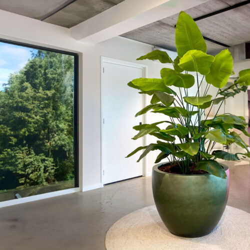 DUOO grote plantenpot groen voor binnen 70cm breed