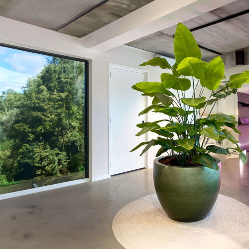 DUOO grote plantenpot groen voor binnen 70cm breed