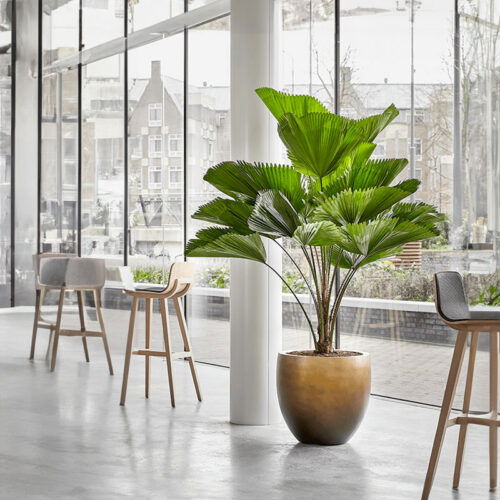 DUOO grote design bloempot goud brons voor binnen 54cm breed