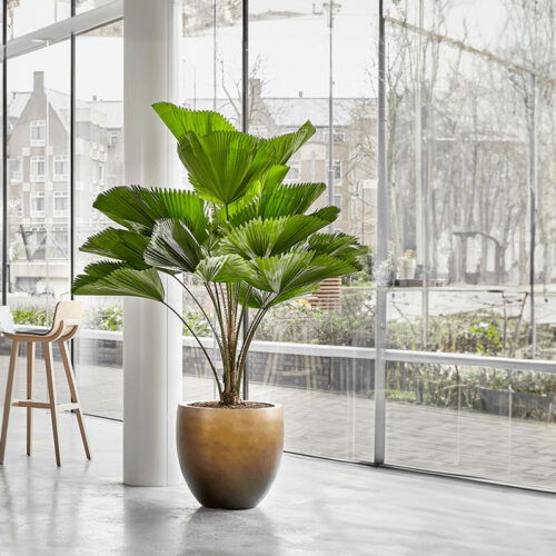 DUOO grote design bloempot goud brons voor binnen 54cm breed