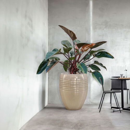 ADESS crème wit gouden plantenbak groot design voor buiten 80cm