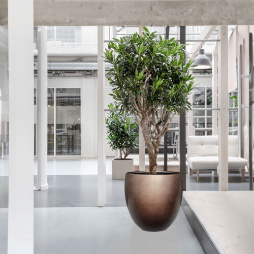 DUOO grote design bloempot taupe brons voor binnen 54cm breed