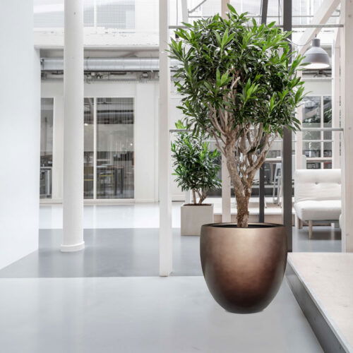 DUOO grote design bloempot taupe brons voor binnen 54cm breed