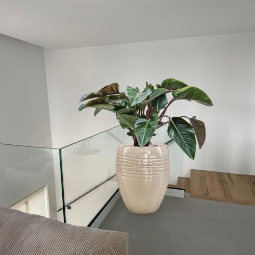 ADESS crème wit gouden plantenbak groot design voor buiten 80cm