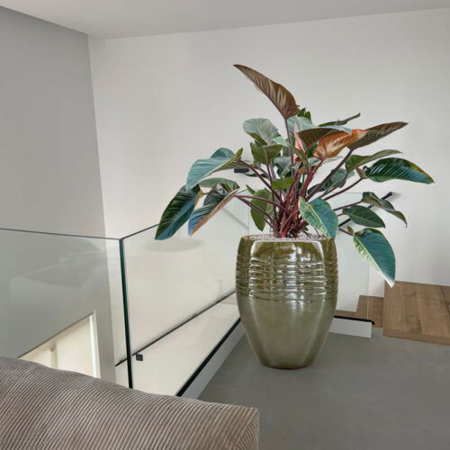 ADESS olijfgroene bloempot groot design voor buiten 67cm