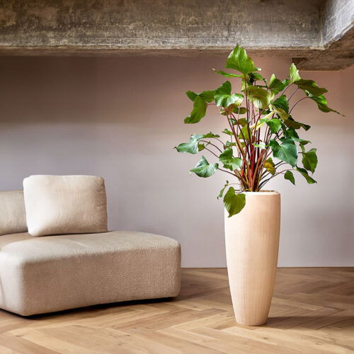 NICAA crème witte bloempot design vaas voor binnen 90cm
