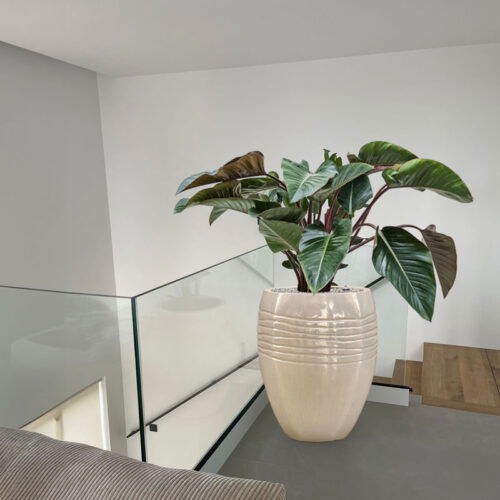 ADESS crème wit gouden plantenbak groot design voor buiten 80cm