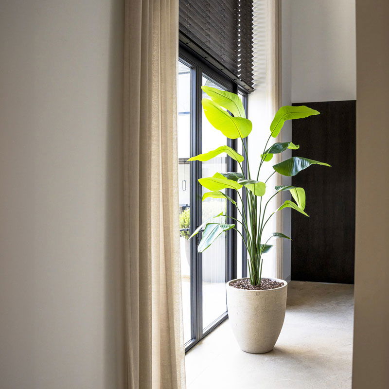 High quality STRELITZIA kunstplant hoge kamerplant 210cm