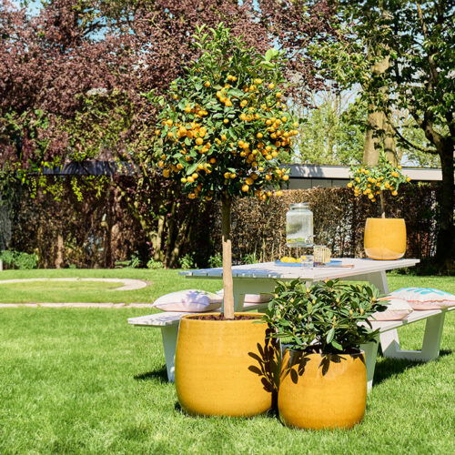 LIANN grote bloempot plantenbak oker geel 56cm breed