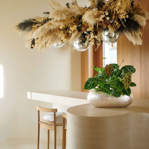 MAXIM ovale bloempot plantenbak champagne zilver 56cm breed