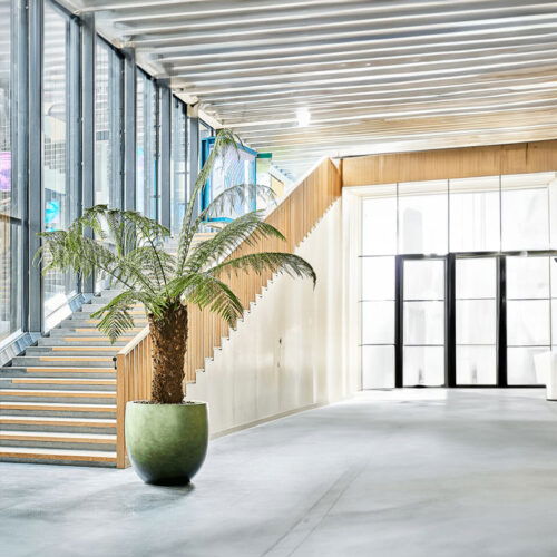 DUOO grote design bloempot groen voor binnen 54cm breed