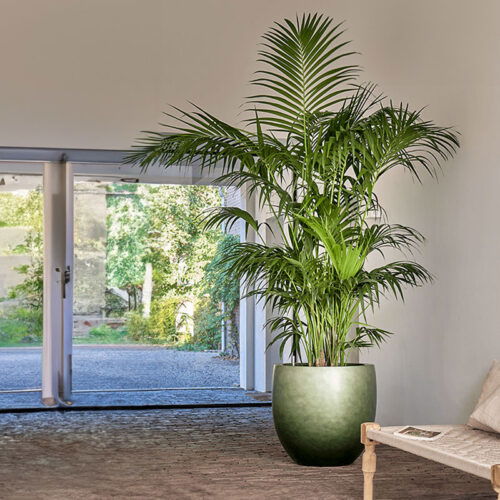 DUOO grote design bloempot groen voor binnen 54cm breed