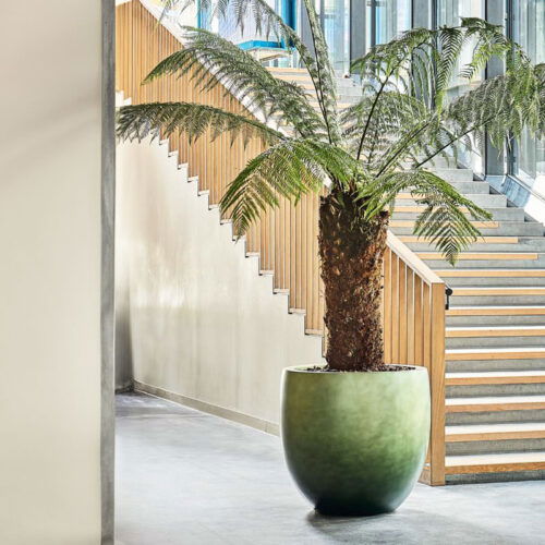 DUOO grote design bloempot groen voor binnen 54cm breed