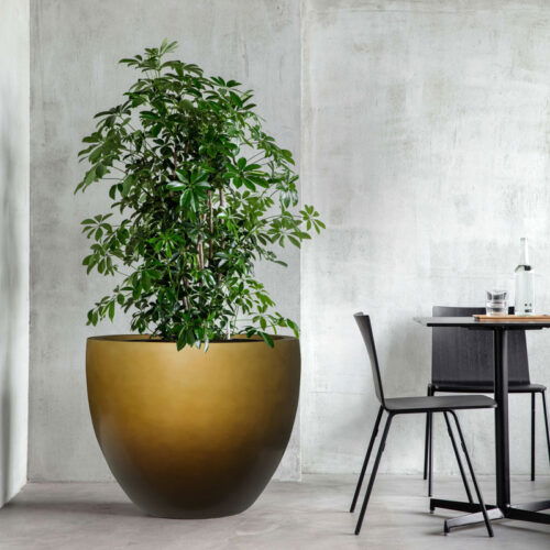 DUOO grote plantenpot goud brons voor binnen 70cm breed