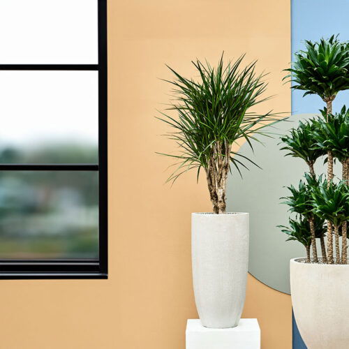 FUNDO hoge bloempotten voor buiten beige grijs 62cm