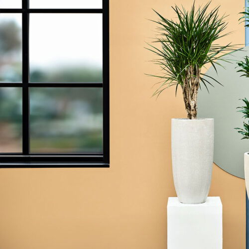 FUNDO hoge bloempotten voor buiten beige grijs 62cm