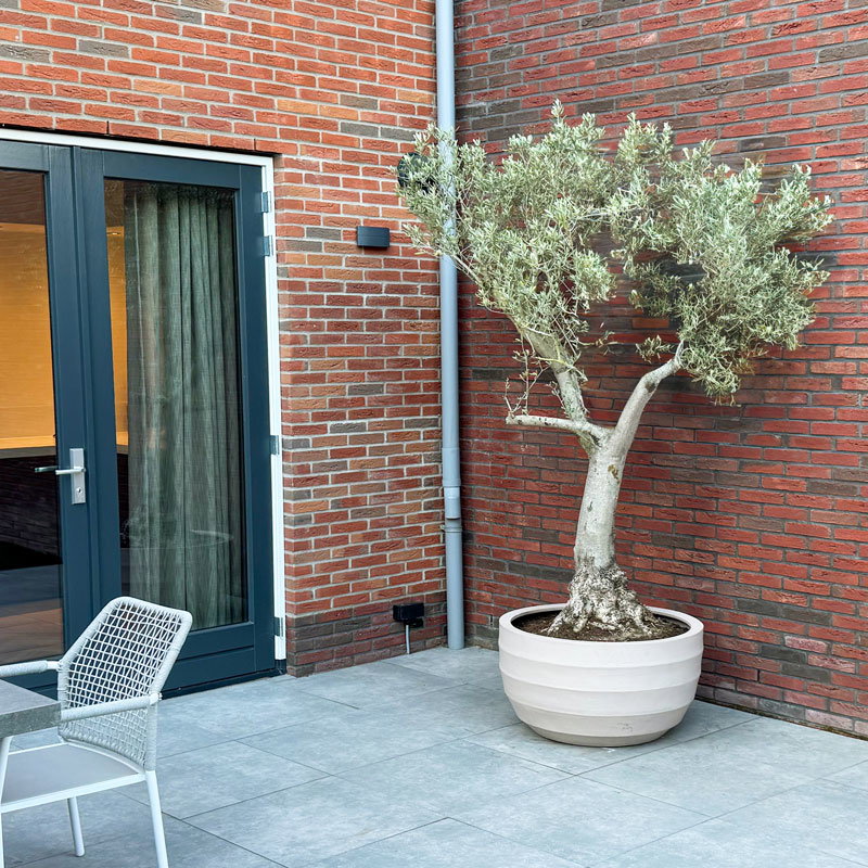 BORDO XL grote beige plantenbak bloempot groot design voor buiten 94cm breed