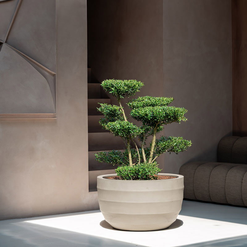 BORDO XL grote beige plantenbak bloempot groot design voor buiten 94cm breed