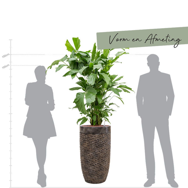 UNDA design plantenpot hoge vaas brons met zwarte rand 69cm