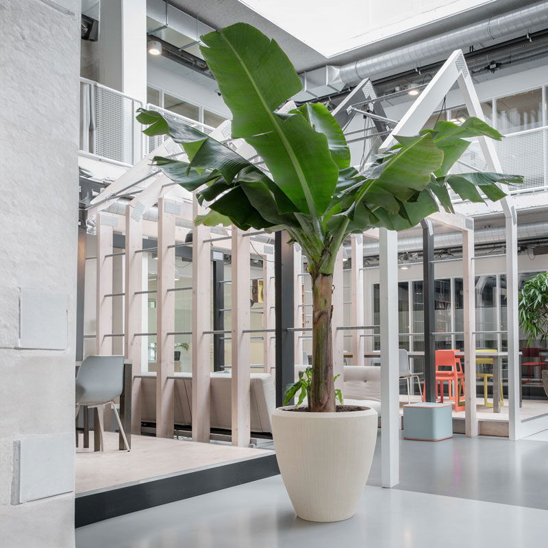 NICAA roomwitte bloempot plantenpot voor binnen 40cm