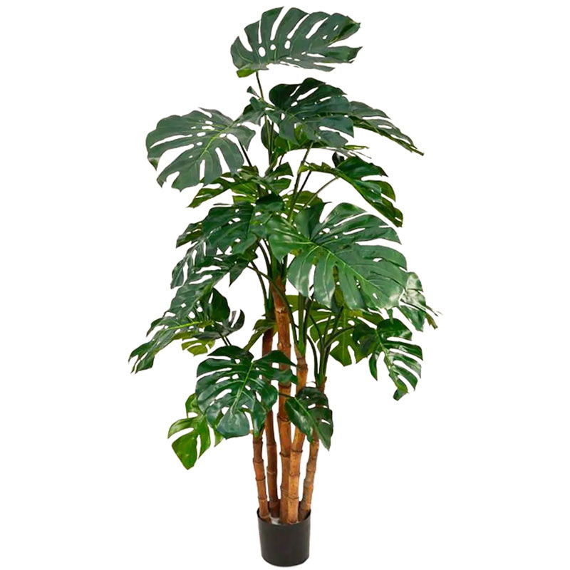 Design MONSTERA nepplant kustplant meerstammige gatenplant 185cm