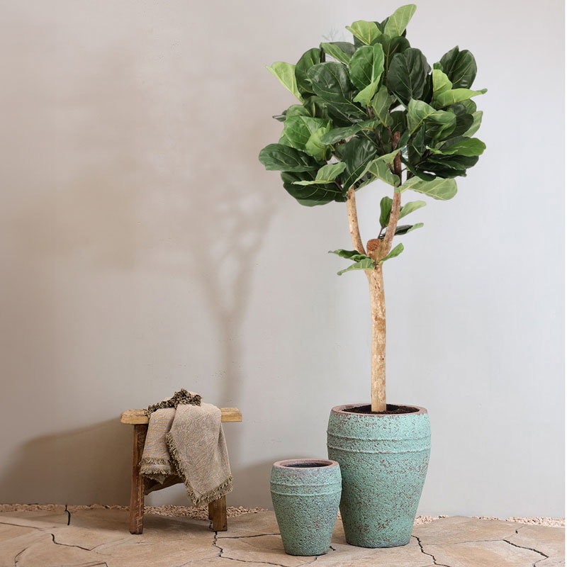 Grote FICUS LYRATA kunstplant kunstboom met echte houten stam 170cm