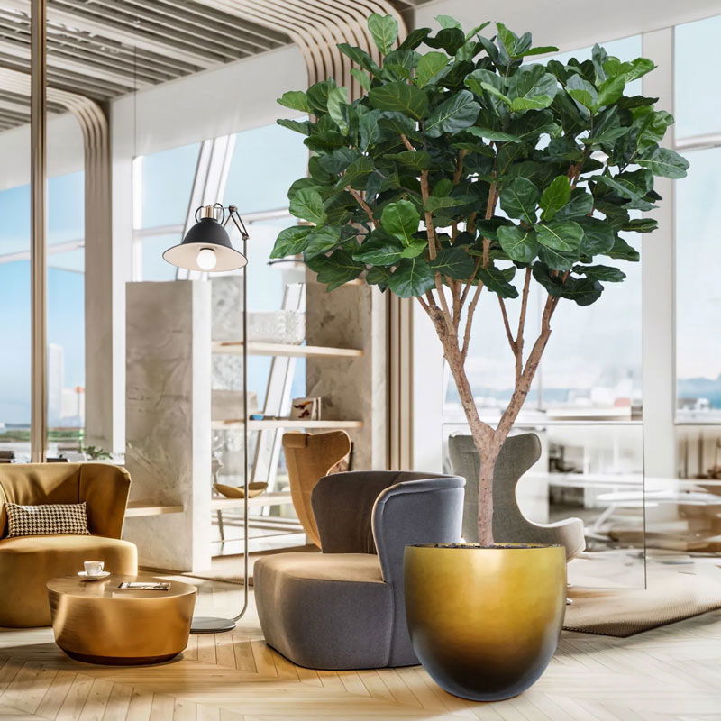 Grote tabaksplant FICUS LYRATA kunstboom vertakte met houten stammen 300cm