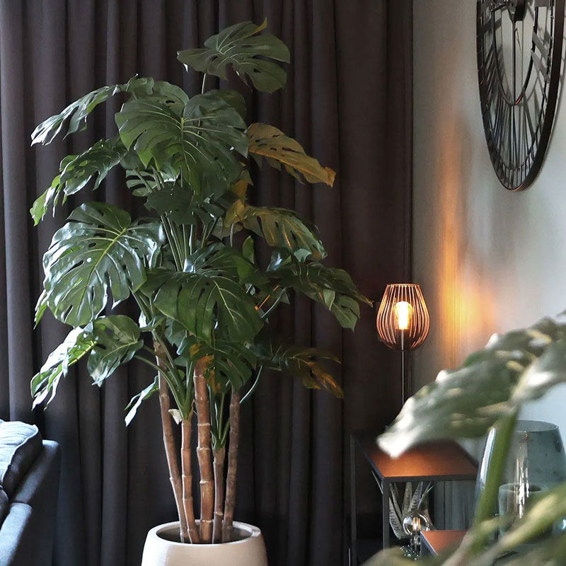 Design MONSTERA nepplant kustplant meerstammige gatenplant 185cm