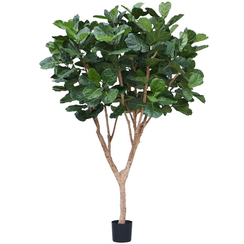 Grote tabaksplant FICUS LYRATA kunstboom vertakte met houten stammen 300cm