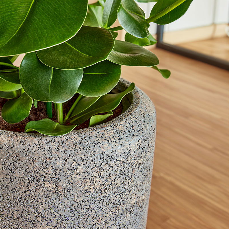 CALLI bloempot vaas hoog design voor binnen beton grijs 90cm