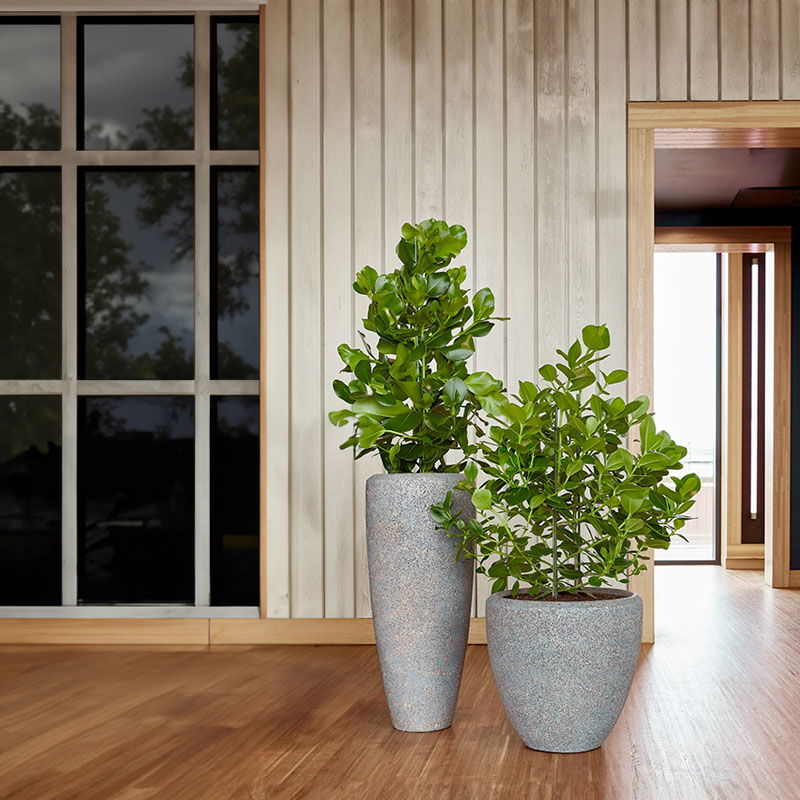 CALLI bloempot vaas hoog design voor binnen beton grijs 90cm