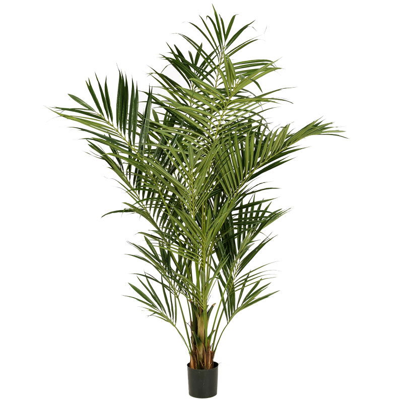 Hoge KENTIA PALM kunstplant HQ Howea kunstpalm met echt hout 225cm