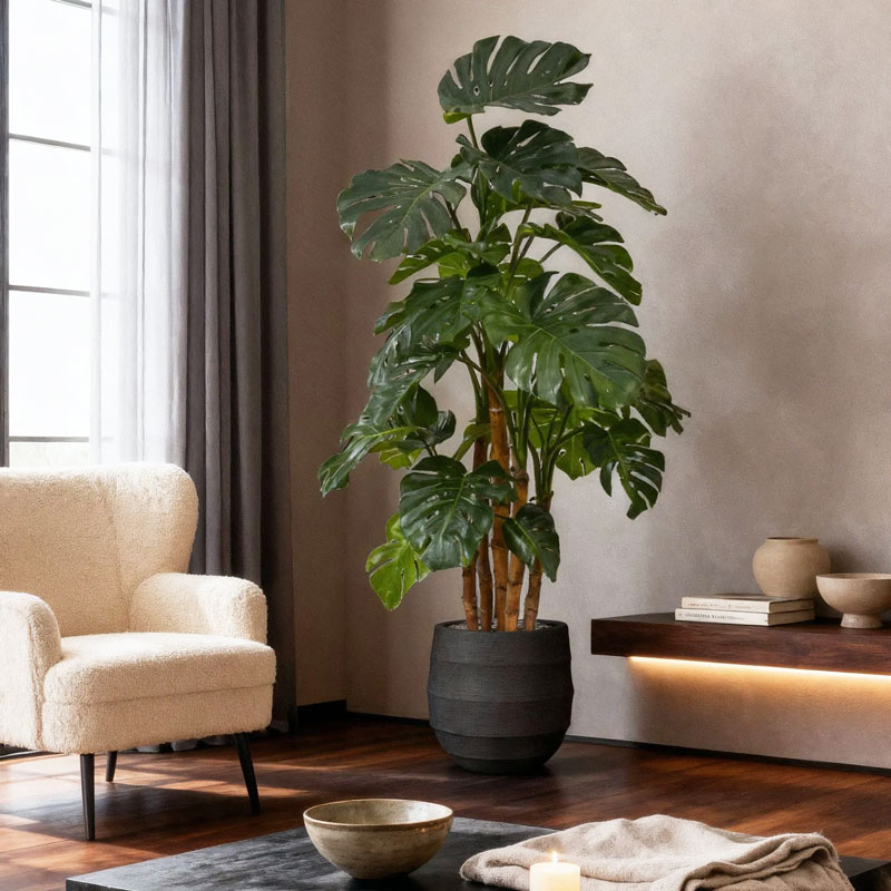 Design MONSTERA nepplant kustplant meerstammige gatenplant 185cm