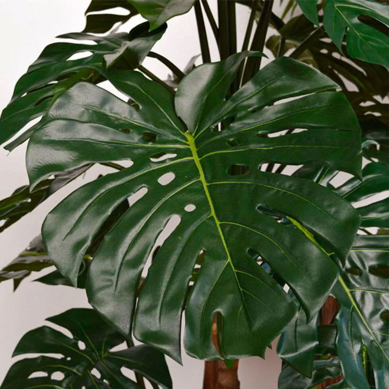 Design MONSTERA nepplant kustplant meerstammige gatenplant 185cm