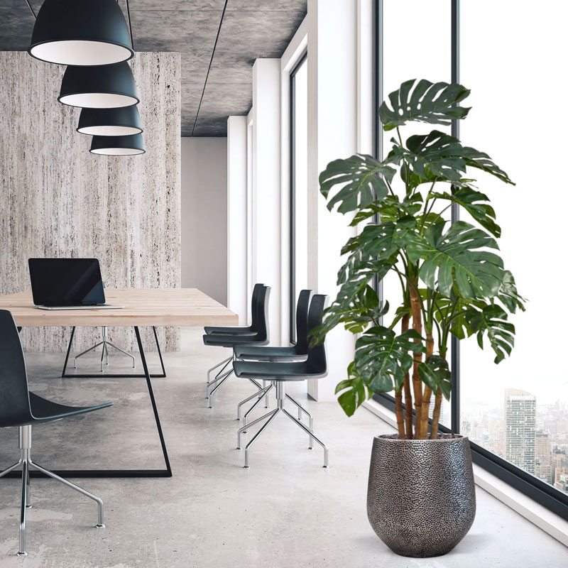Design MONSTERA nepplant kustplant meerstammige gatenplant 185cm