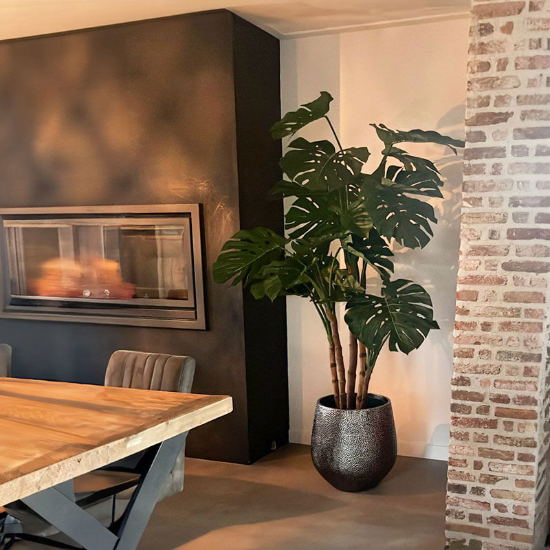 Design MONSTERA nepplant kustplant meerstammige gatenplant 185cm