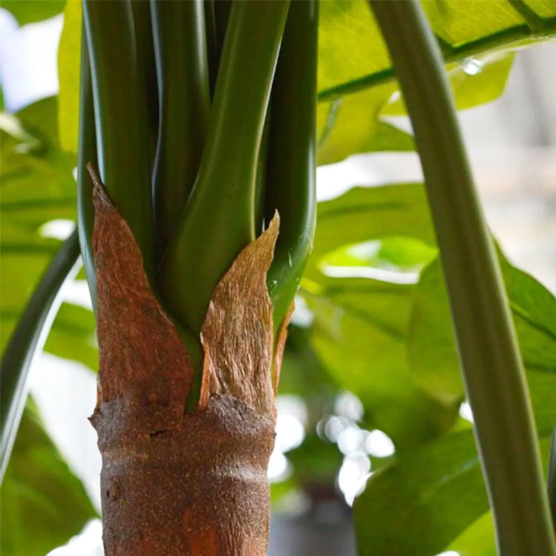 Design MONSTERA nepplant kustplant meerstammige gatenplant 185cm