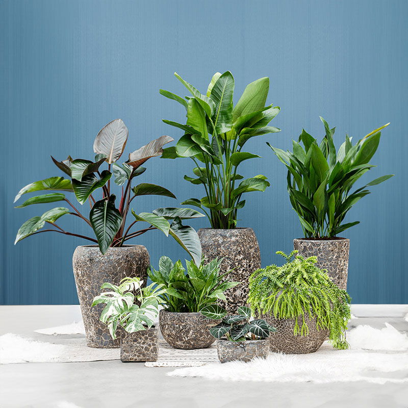 LAVAA hoge bloempot plantenbak zwart keramiek voor buiten 95cm