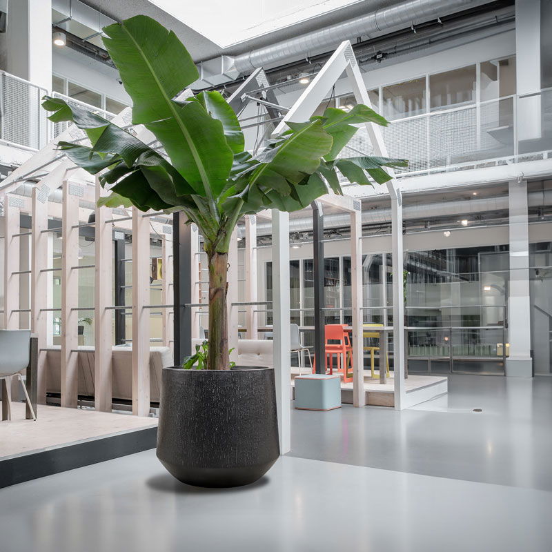 FUNDO XXL plantenbak bloempot zwart grijs voor buiten 80cm breed