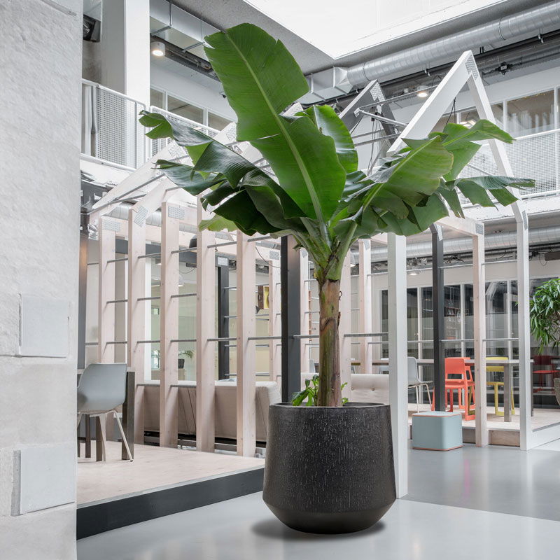 FUNDO XXL plantenbak bloempot zwart grijs voor buiten 80cm breed