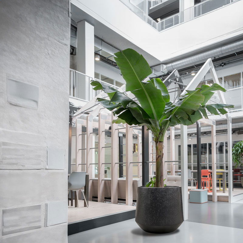 FUNDO XXL plantenbak bloempot zwart grijs voor buiten 80cm breed