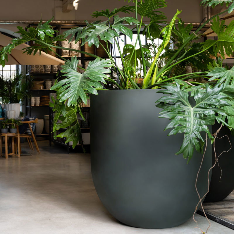 DEVA XXL hoge diep groene plantenbak bloempot groot beton design voor buiten 88cm
