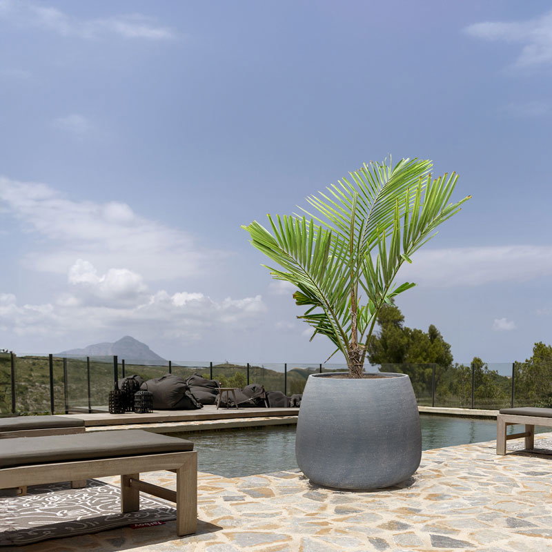 MILOO grote XL beton grijze plantenbak bloembak voor buiten 75cm breed
