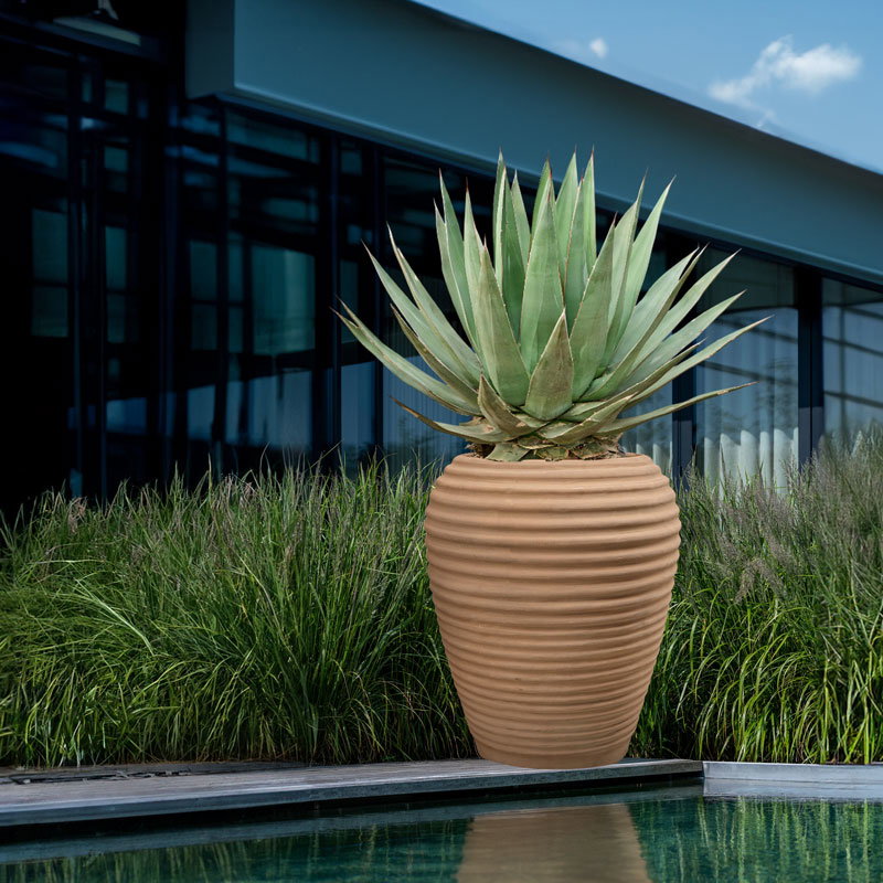 TERRACOTTA grote XL bloempot design plantenbak bloembak voor buiten 75cm