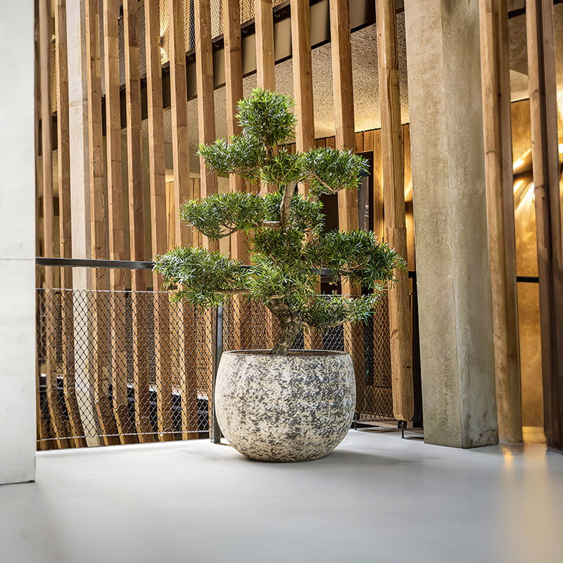 TELLUS XL bloempot plantenbak groot design wit grijs voor buiten 90cm breed